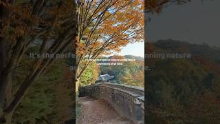 The perfect place near Seoul for nature and history koreatravel koreatrip [upl. by Larena]