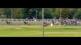 Dansk Trav Derby 2015Winston SisaDahlgaard Jan [upl. by Hilary858]