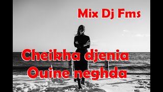 Cheikha djenia Mix Ouine neghda Dj Fms [upl. by Thedric302]