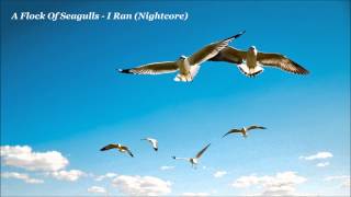 A Flock Of Seagulls  I Ran Nightcore [upl. by Assel]