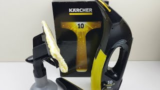 Karcher WV Anniversary Edition Window Vacuum Review [upl. by Aisena546]