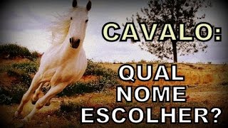 Nome para cavalo [upl. by Ahseirej]