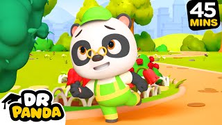 🐼🌲 Panda At The Park  More  NEW COMPILATION  Dr Panda [upl. by Ennoval782]