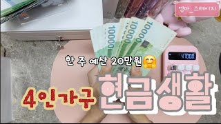 36 4인가구👨‍👩‍👧‍👦 현금생활💸 9월 2주차 예산 짜기  1주차 정산  가계부  목적저축♡ [upl. by Ditmore]