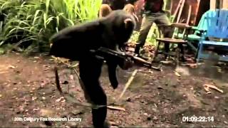 Monkey shooting AK47 Between Soldiers in Africa [upl. by Enelrak]