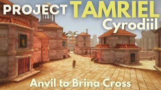 Project Tamriel Abecean Shores Walk from Anvil to Brina Cross  QnA with Dev [upl. by Fernandes214]