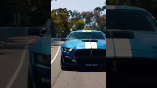 Enjoy Sounds Shelby GT 500 Whipple [upl. by Llednol549]