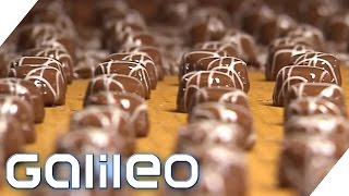 Herstellung der MiniPraline  Galileo  ProSieben [upl. by Quintin]