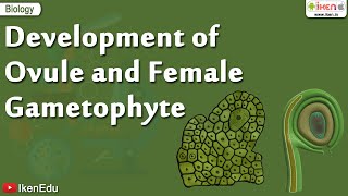 Biology Of Plants  Learn About Ovule and Gametophyte  iKen  iKen Edu  iKen App [upl. by Nabla]