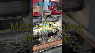 130250CM Laser Etching Stainless Steel Machine for stainless steel sheet elevator cabins [upl. by Hessney688]