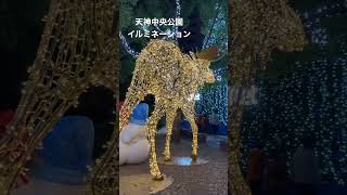 天神中央公園イルミネーション綺麗でした [upl. by Ibbob]