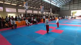 TAEGEUK 3JANG  Poomsae 2024 စံပြဖိုက်တာ ဖိတ်ခေါ်ဖလား ၂၀၂၄ Nang Phway Chel နန်းဖွေးချယ် NPC [upl. by Tare140]