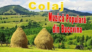 Colaj Muzica Populara Romaneasca din Bucovina [upl. by Oivat]