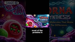 Discover the Vital Role of Proteins in Our Bodies shorts [upl. by Oletta]