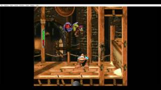 donkey kong 3 all bonus levels and dk coin  squeals on wheels [upl. by Ahsinhoj]