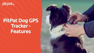 PitPat Dog GPS Tracker  Features [upl. by Danaher]