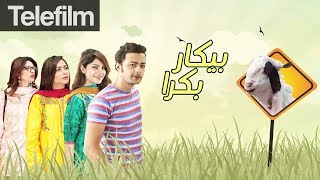 Bekar Bakra  Eid ul Azha Special Telefilm  Neelum Muneer  Hina Dilpazeer  Ahmed Hasan  Urdu1 TV [upl. by Aneloc]