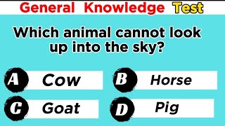 Top 11 General Knowledge Questions In English 🦋✅ Ultimate General Knowledge Trivia [upl. by Faria984]