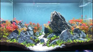 TUTORIAL BRAZILIAN STYLE AQUASCAPE 60P PART 2 [upl. by Rodgers]