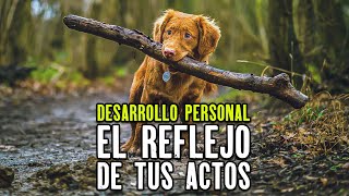 EL REFLEJO DE TUS ACTOS Ser mejor persona Reflexiones de Vida [upl. by Shelia]