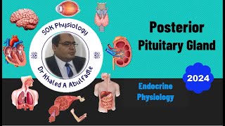 Posterior Pituitary Gland Physiology 102024 by Dr Khaled A Abulfadle [upl. by Yetty]