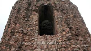 The incomplete Alai Minar near Qutub Minar [upl. by Donohue358]