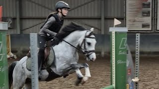 springen oefenen met silver het ging echt super goed🫶 silver showjumping [upl. by Shutz]