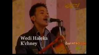 Wedi Haleka  Kchney New Eritrean Song 2012 [upl. by Johannes896]