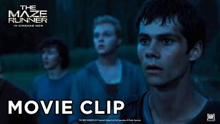 Everything Wrong With The Maze Runner In 16 Minutes Or Less [upl. by Ardnic]