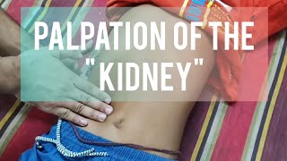 palpation of the kidney  clinical examination  medicine ward  sanowarhossain1290 [upl. by Aihsenal244]