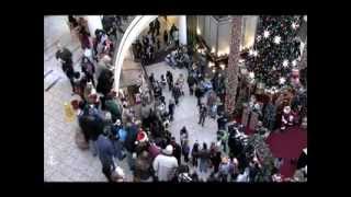 Flash Mob Christmas Carol at Mall  MUST SEE [upl. by Leuqram976]