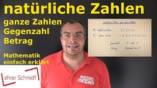 natürliche Zahlen amp ganze Zahlen  Mathematik  einfach erklärt  Lehrerschmidt [upl. by Inerney]