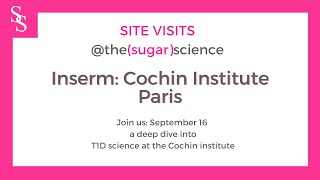 Site Visit Type 1 Diabetes Research at Cochin Institute Paris [upl. by Ahsimrac]