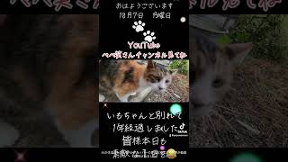 いもちゃんと別れて1年経過しました本日も皆様素敵な１日を😂😹 [upl. by Ruhtra]