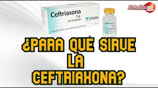 ¿Para qué Sirve la Ceftriaxona [upl. by Raknahs]