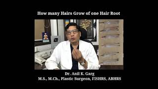 How many Hairs Grow of one Hair Root [upl. by Reba]