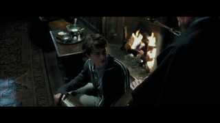 Preview Harry Potter un die ausgelutschten Synchros Harry Potter 3 SynchroVerarsche [upl. by Nama]