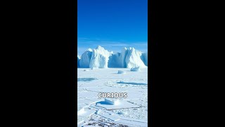 Unveiling Antarcticas Hidden Secrets shorts facts curiousfacts nature [upl. by Herod425]