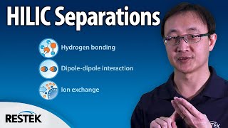 Understanding the HILIC Separation Method in LC [upl. by Carmon]