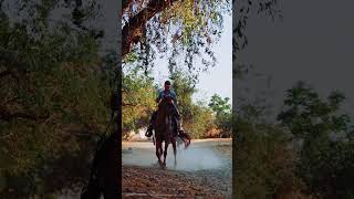 man horse riding  shortvideo viralvideo horse cuzurtabfunnyshorts funnyvideo [upl. by Cardinal229]