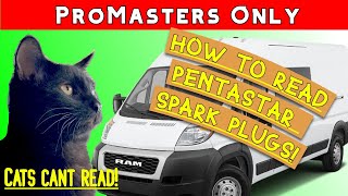 Ram Promaster How to Read 36 Pentastar Spark Plugs Chrysler Dodge Jeep Specs Torque Tips Only [upl. by Arekahs]