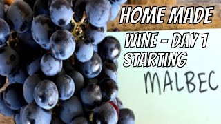 How to make wine  Day 1  Starting Brew  Homemade Malbec [upl. by Stephie]