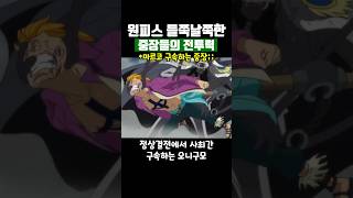 원피스 전투력이 너무 들쭉날쭉한 중장들 [upl. by Yntrok]