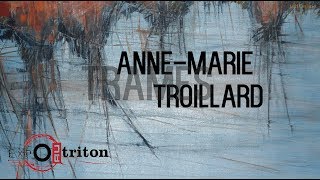 Expo au Triton  AnneMarie Troillard [upl. by Eslehc]