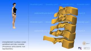 La colonne cervicale [upl. by Suilienroc824]