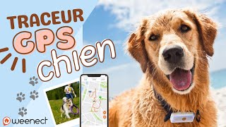 🐶 Weenect Dogs 2  RETROUVER SON CHIEN FACILEMENT grâce à ce Traceur GPS [upl. by Hanford]