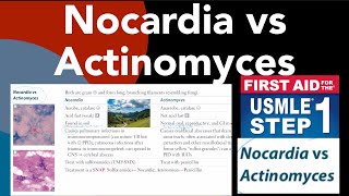 Nocardia vs Actinomyces in HindiUrdu by first aid for USMLE step 1 [upl. by Atinej]