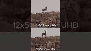 Vortex 12x50 Viper HD vs Razor UHD vortex viper razor muledeer bucks southernaz [upl. by Hilbert361]