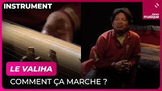 La valiha comment ça marche  Par Justin Vali  Culture Prime [upl. by Jonme]