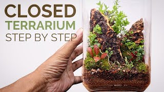 Learn to make a beautiful closed terrarium step by step [upl. by Avalsorim822]